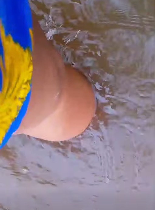 Eleitora arrependida faz forte desabafo contra a prefeita Marina Rocha: 'Decepção é a palavra-chave'